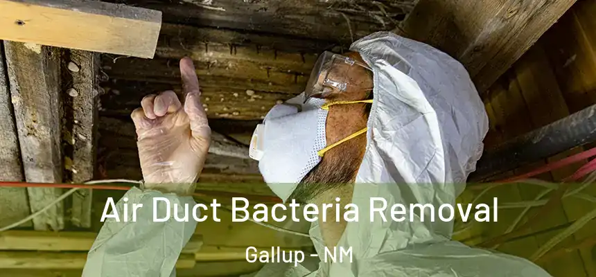 Air Duct Bacteria Removal Gallup - NM