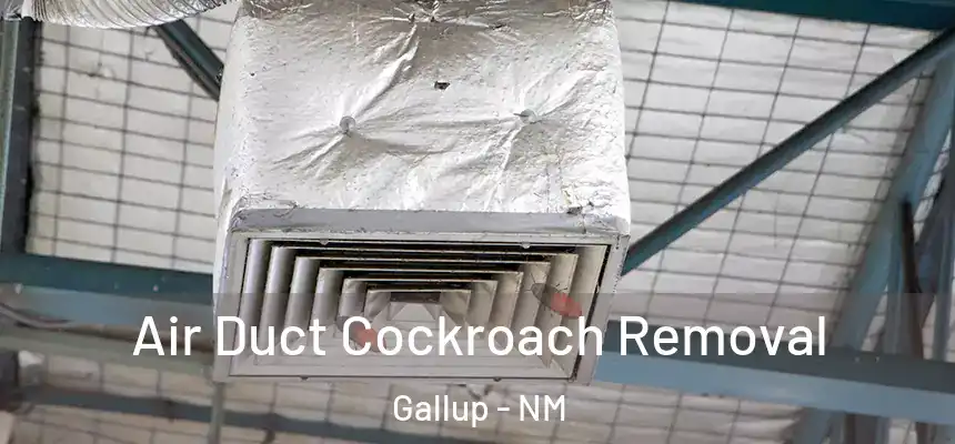Air Duct Cockroach Removal Gallup - NM