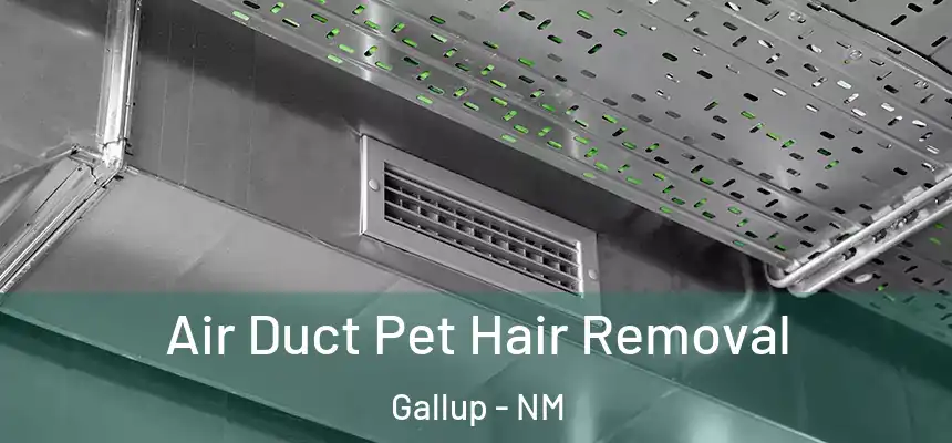 Air Duct Pet Hair Removal Gallup - NM
