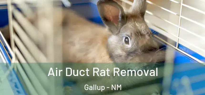  Air Duct Rat Removal Gallup - NM