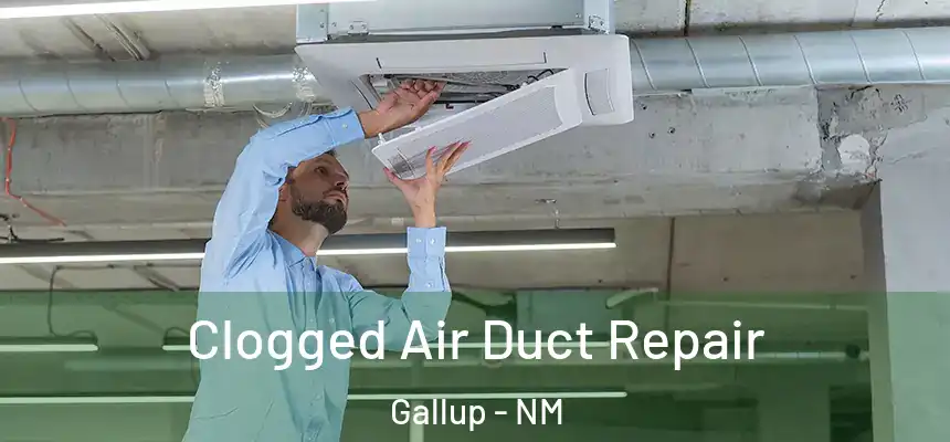 Clogged Air Duct Repair Gallup - NM
