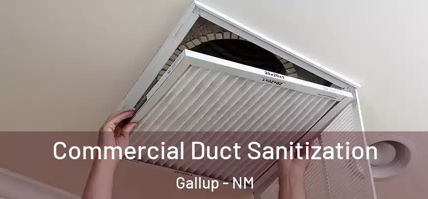 Commercial Duct Sanitization Gallup - NM