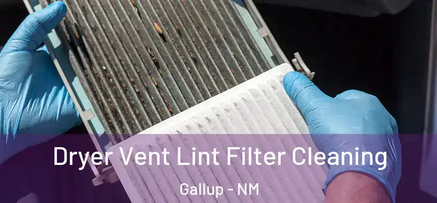 Dryer Vent Lint Filter Cleaning Gallup - NM