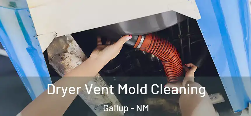 Dryer Vent Mold Cleaning Gallup - NM