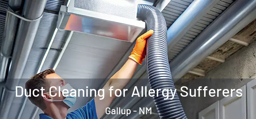 Duct Cleaning for Allergy Sufferers Gallup - NM