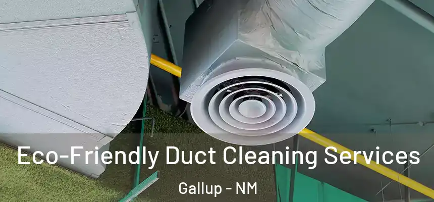 Eco-Friendly Duct Cleaning Services Gallup - NM