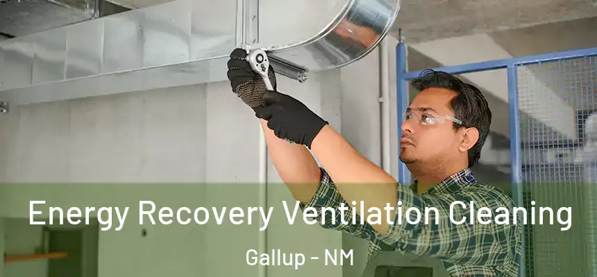 Energy Recovery Ventilation Cleaning Gallup - NM