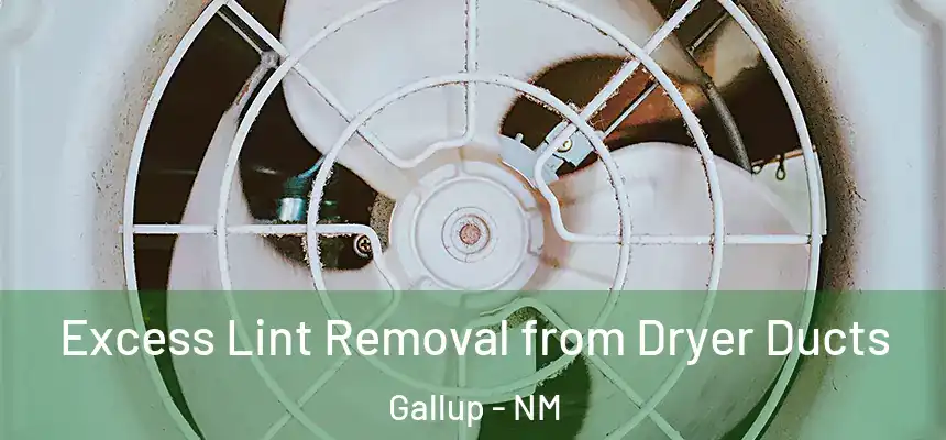 Excess Lint Removal from Dryer Ducts Gallup - NM