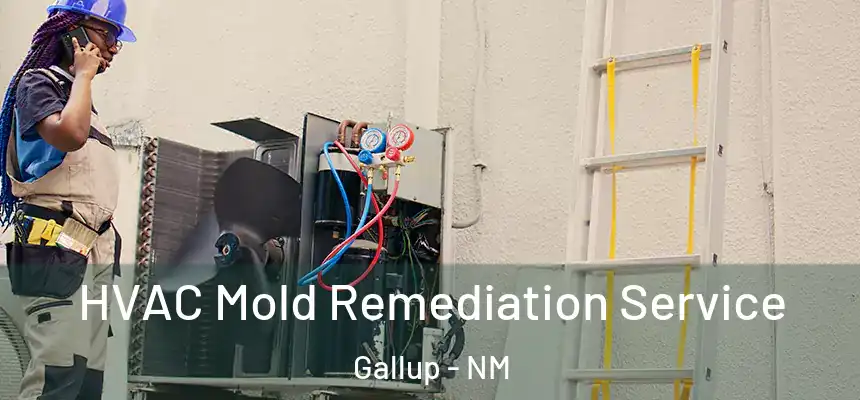 HVAC Mold Remediation Service Gallup - NM