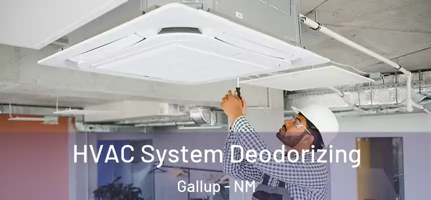 HVAC System Deodorizing Gallup - NM