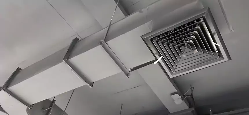 Restorative Allergy Relief Vent Cleaning – Coil, Blower & Housing Detail in Gallup