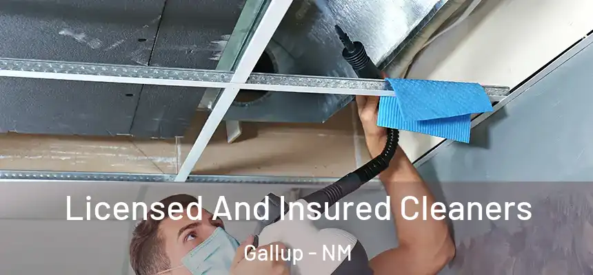  Licensed And Insured Cleaners Gallup - NM