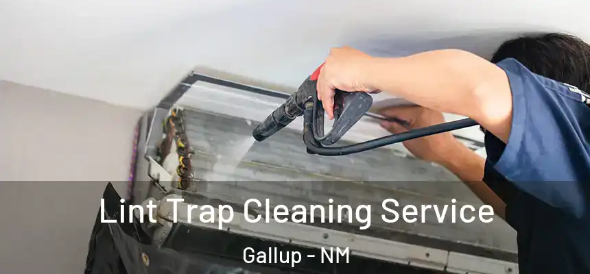 Lint Trap Cleaning Service Gallup - NM