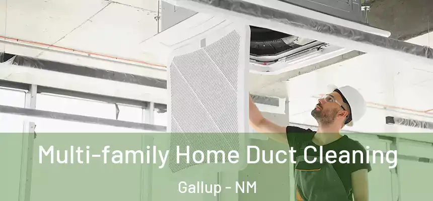 Multi-family Home Duct Cleaning Gallup - NM