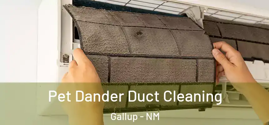 Pet Dander Duct Cleaning Gallup - NM
