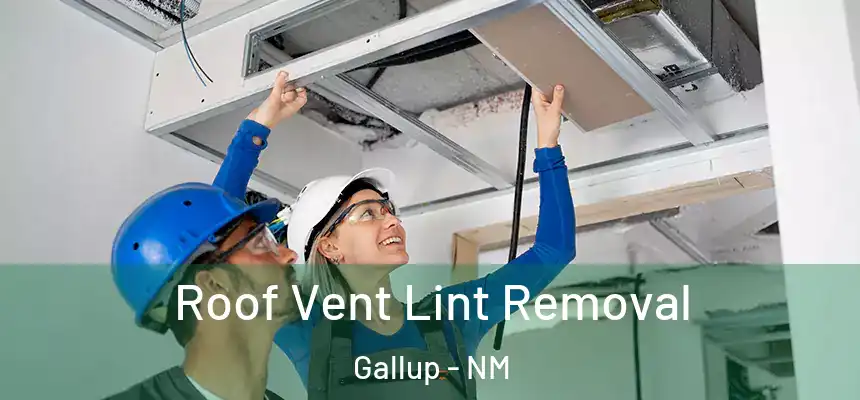 Roof Vent Lint Removal Gallup - NM