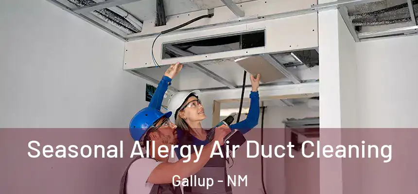 Seasonal Allergy Air Duct Cleaning Gallup - NM