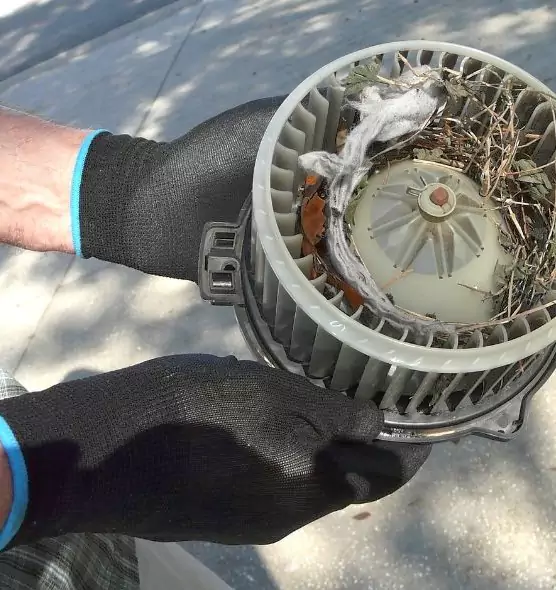 About Air Duct Mice Removal in Gallup, NM