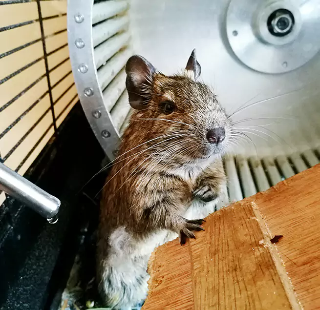 Why Homeowners & Businesses Trust Us Gallup, NM